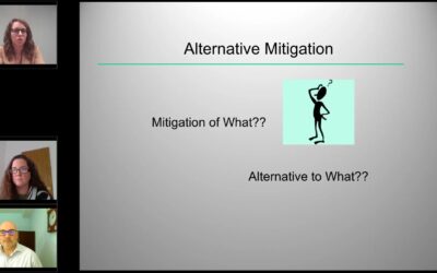 Now on Demand – Alternative Mitigations: Let’s Continue the Discussion