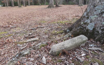 2022 Project Spotlight: Virginia Central State Hospital Unmarked Cemetery Documentation (The Ottery Group)