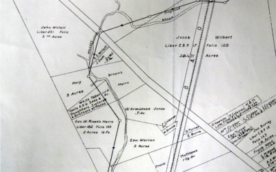 2022 Project Spotlight: Moses Cemetery Assessment (The Ottery Group)