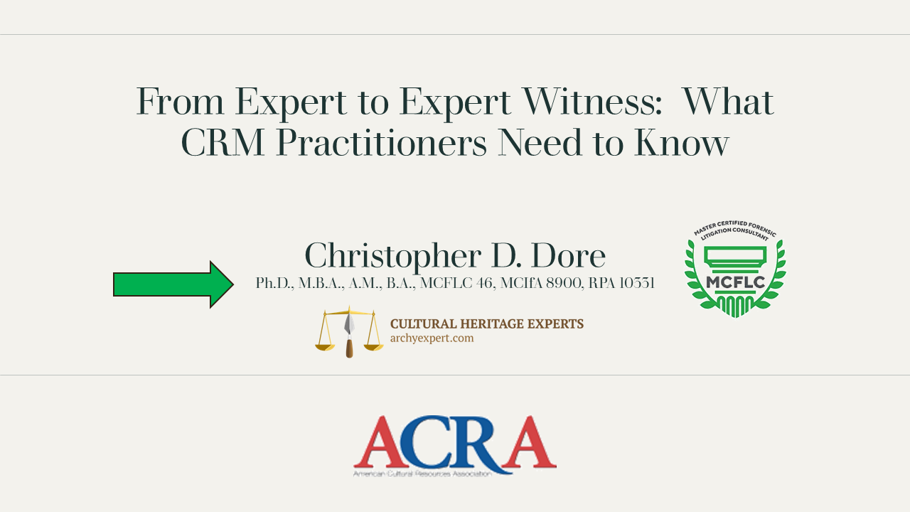 ExpertWitnessScreenshot